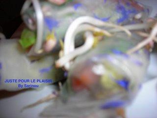 ROULEAUX DE PRINTEMPS EN FLEURS