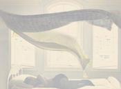 Portfolio Samara York