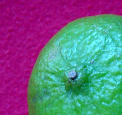 Madeleines au citron vert