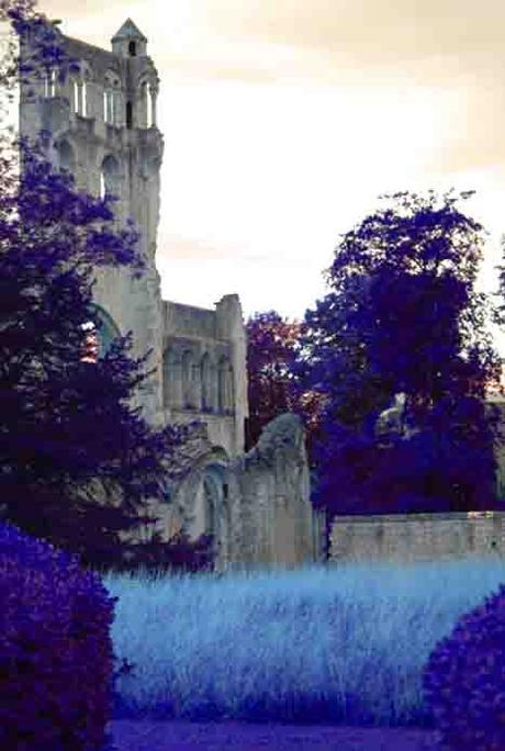 jumieges-natura 2000 seine-maritime ps76 76