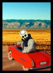 tom Lafolie par herbot