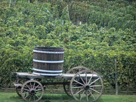 paysages-du-bourbonnais-12