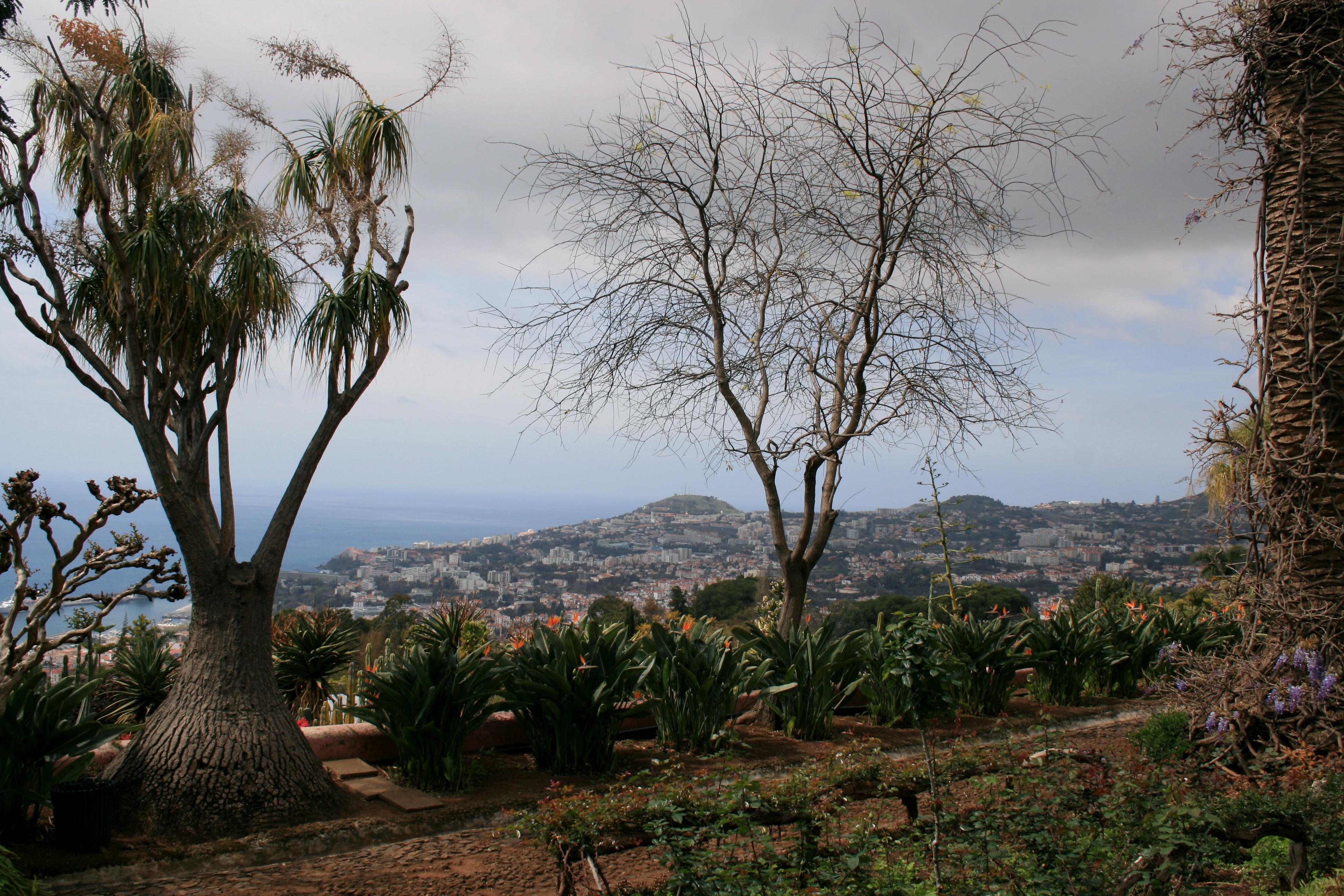 l'île de madére (portugal)