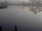 dans tourbière Kuresoo, Soomaa