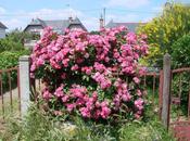Pont-Réan Ille Vilaine Bretagne (2/2)