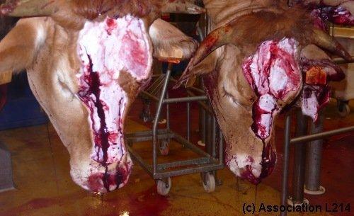 L'été plaisir.... pas pour tout le monde !