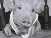 Prévisions astrologiques n°74