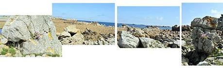 les îles de Bugueles à marée basse les îles de Bugueles à marée basse