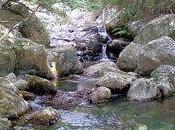 juillet 1972/Œdipe Œdipe Colone Festival d’Avignon