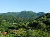 femme couchée cachée