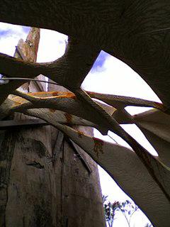 Image Hosted by ImageShack.us