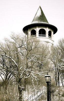 Un cas de lycanthropie