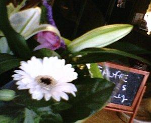 Lot - Haiku (3) - Véronique Dubois