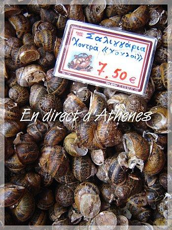 RETOUR DU MARCHE CRETOIS : Les escargots