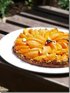 tarte-abricots-pistaches-3