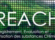 Règlement REACH notion substances monomères