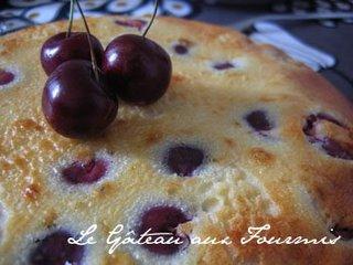 Devoirs de vacances #1: L'Exquis Clafoutis aux Cerises de Christophe Felder