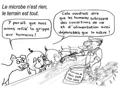en grippe et bande dessinée