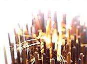 seule application iPhone j'ai payée