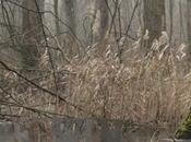 Edwin fall/winter lookbook