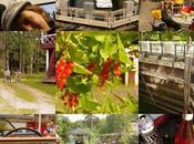 Suomi Finlande, juillet