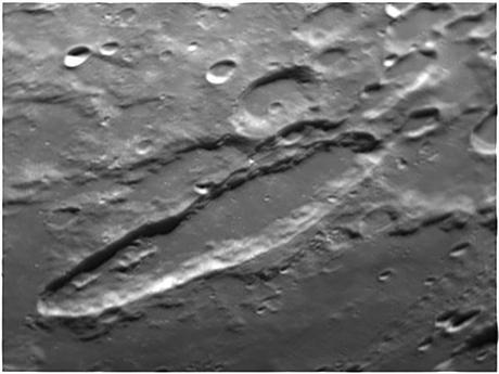 Le nouveau site web de Tommy Hartline Le nouveau site web de Tommy Hartline