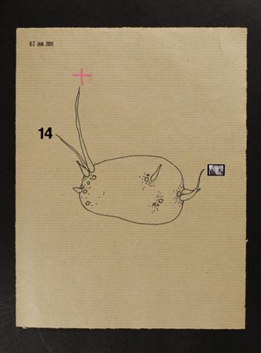 Kaliko : les dernières de la série ( janvier 2009 )