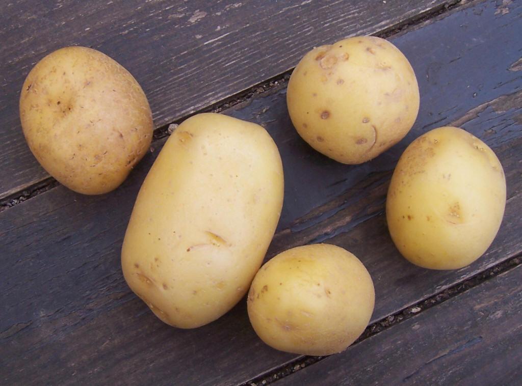 Comment faire pour que les pommes de terre tiennent bien la cuisson