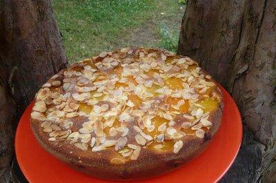 CLAFOUTI ABRICOT