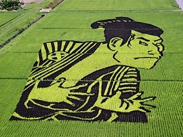 L'art éphémère dans les rizières