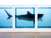“The Million Stuffed Shark Curious Economics Contemporary Art” Part