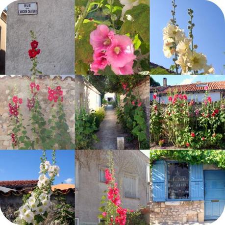 Talmont, le village aux roses tremieres / Talmont: the hollicock flowered village
