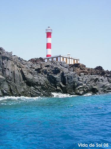 Proliferation de l'oursin diademe