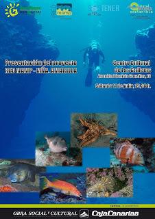 Proliferation de l'oursin diademe