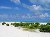 L’horoscope amour Miss Verseau m’énerve