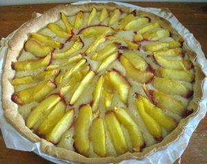 tarte_aux_nectarines___la_sortie_du_four