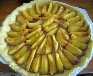 tarte_aux_nectarines_avant_cuisson