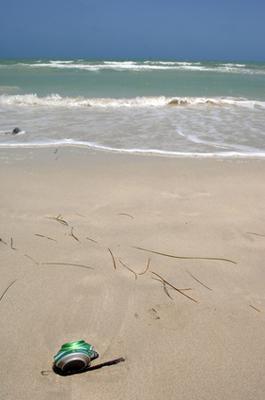 Suivez nos conseils écologiques pour vos vacances