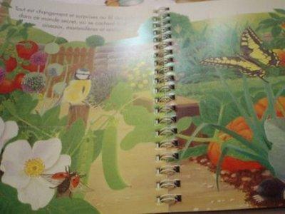 Au plus près des insectes