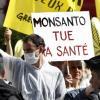 Les ventes de produits Monsanto en baisse