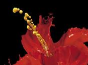 jour peinture éco-responsable [Peinture]