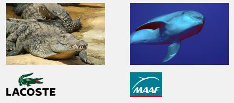 Save your logo ! protégez l’animal qui vous sert de logo