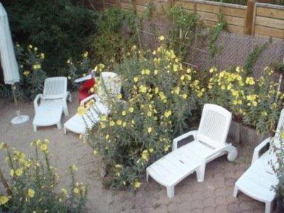 A la tombée du jour, les onagres