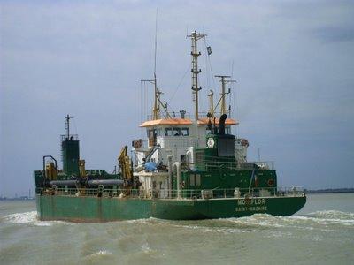 le long du fleuve qui remonte