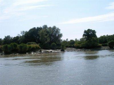 le long du fleuve qui remonte