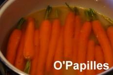 carottes-jeunes-basilic02.jpg