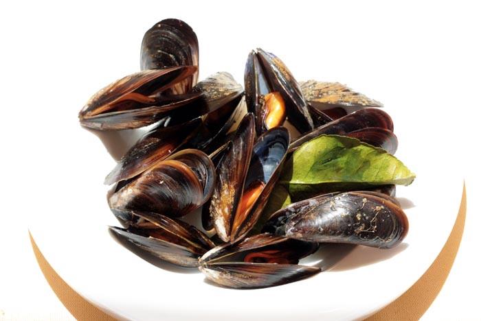 Mussels Moules