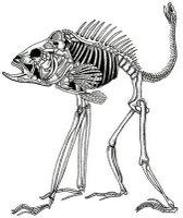 Anna Garforth // Illustration & green street art