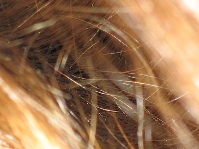 Interview: conseils beauté pour entretenir ses cheveux au naturel