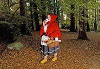 DINA GOLSTEIN // FALLEN PRINCESSES